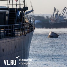 Южнокорейская транспортная компания Sinokor приостанавливает работу с портом Восточный из-за санкций США