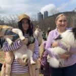 Пикник для собак прошел во Владивостоке во второй раз